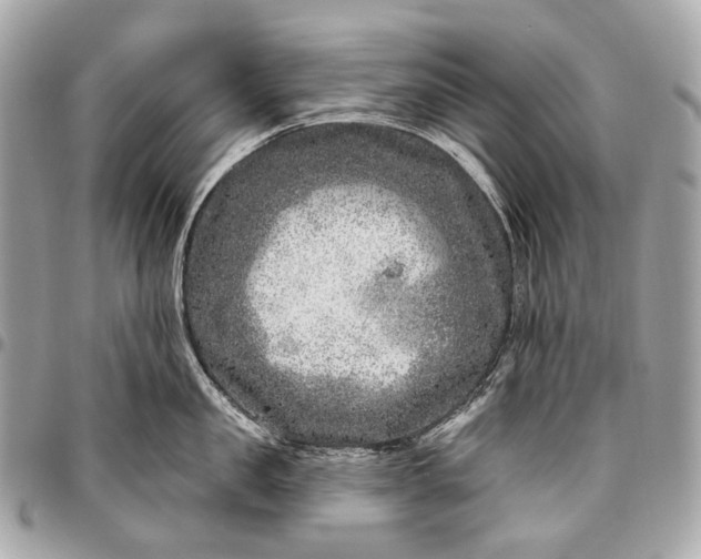 X0000096450957200802071808