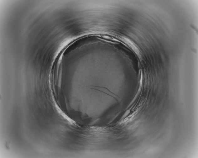 X0000096450958200802071808