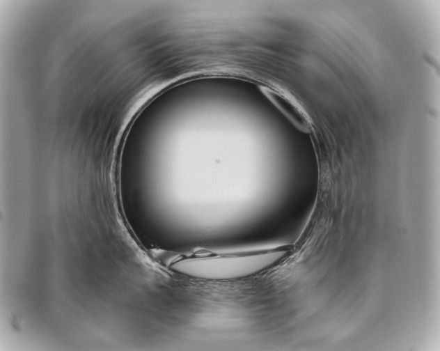 X0000096450959200802071808