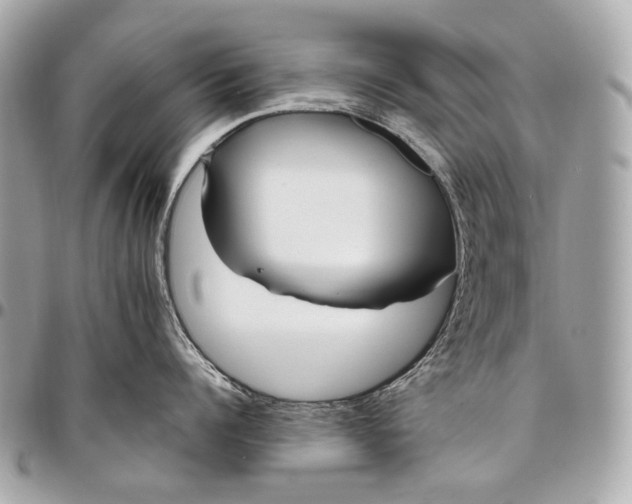 X0000096450960200802071808