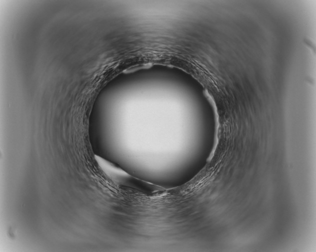 X0000096450961200802071807