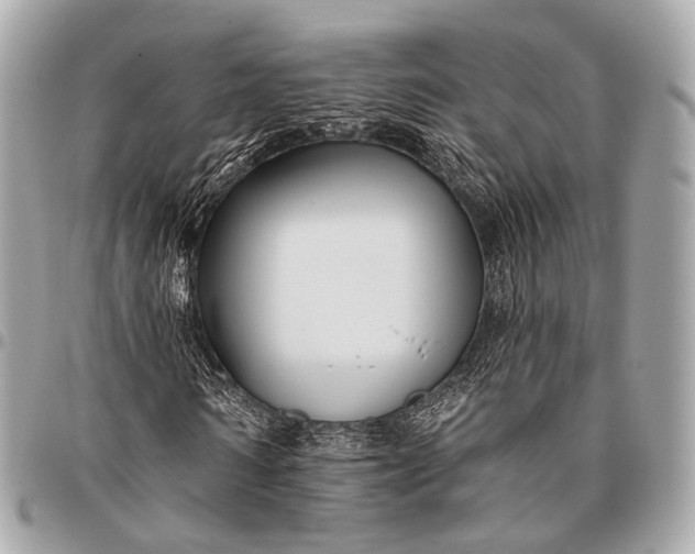 X0000096450962200802071807