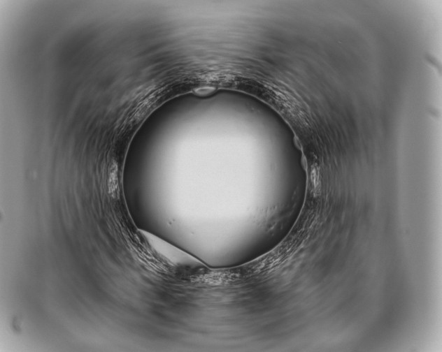 X0000096450963200802071807