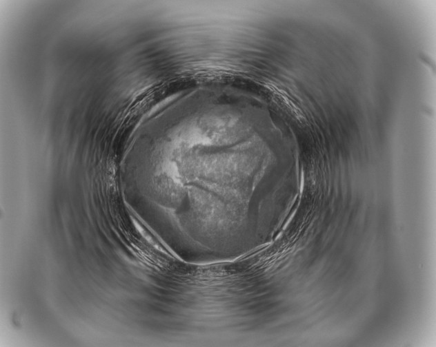 X0000096450964200802071807