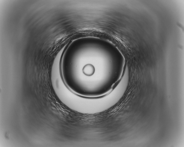 X0000096450965200802071807