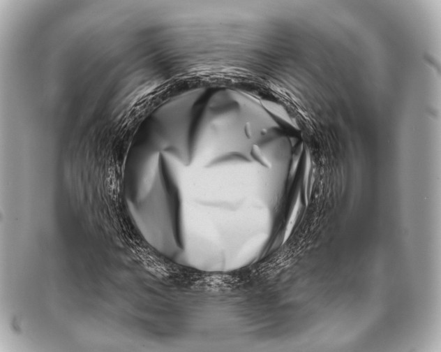 X0000096450966200802071807