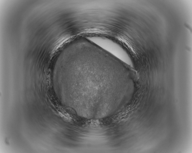 X0000096450968200802071807