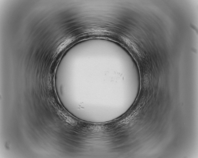 X0000096450970200802071807