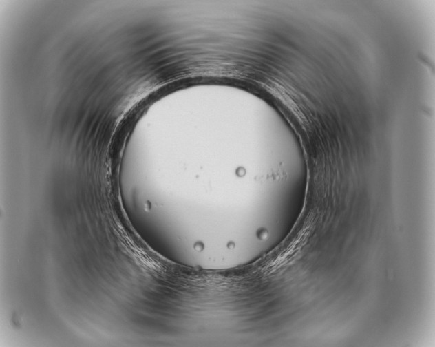 X0000096450971200802071807