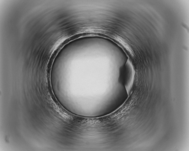 X0000096450972200802071807