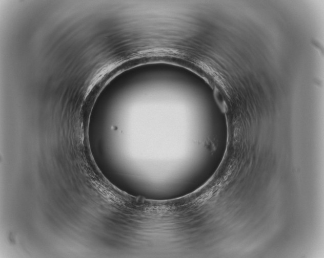 X0000096450973200802071807