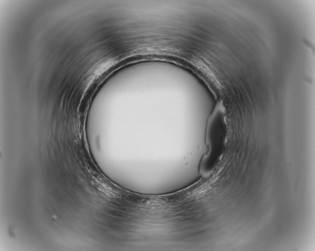 X0000096450974200802071807