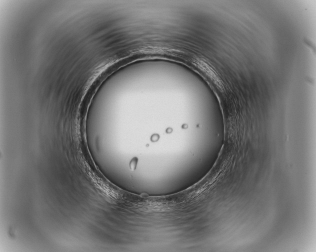 X0000096450976200802071807