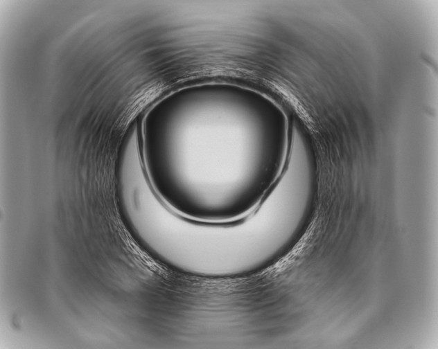 X0000096450977200802071807