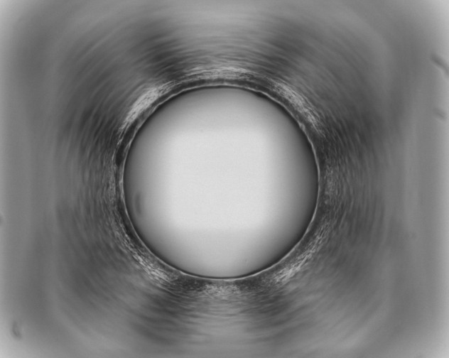 X0000096450978200802071807