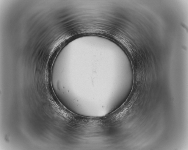 X0000096450979200802071807