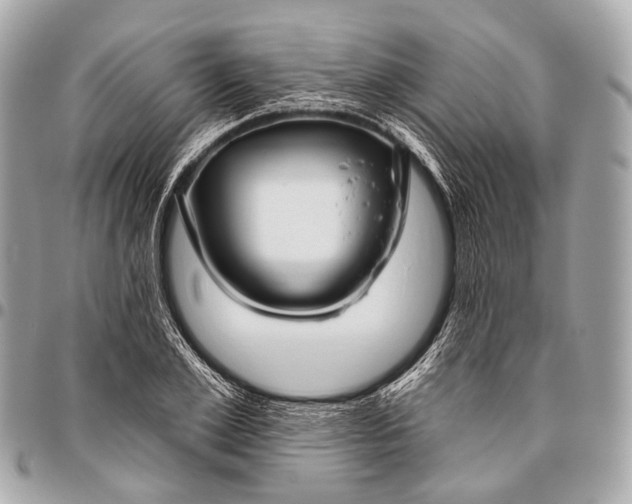 X0000096450981200802071807