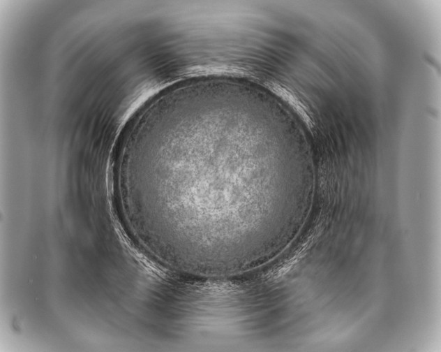 X0000096450983200802071807