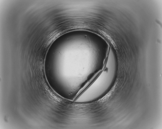 X0000096450985200802071807