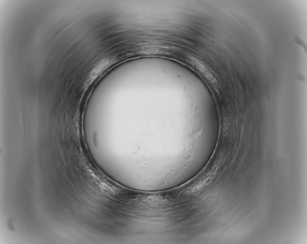 X0000096450986200802071807