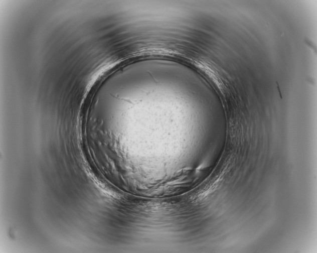 X0000096450987200802071807