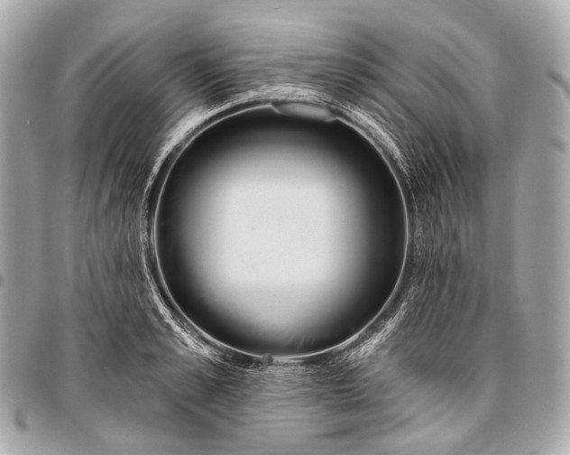 X0000096450989200802071807