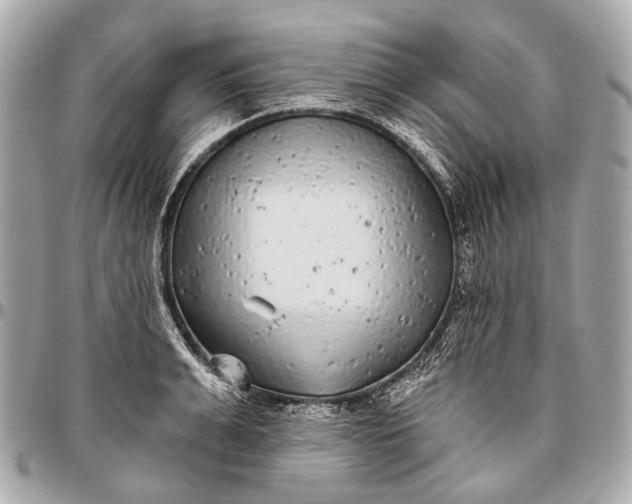 X0000096450991200802071807