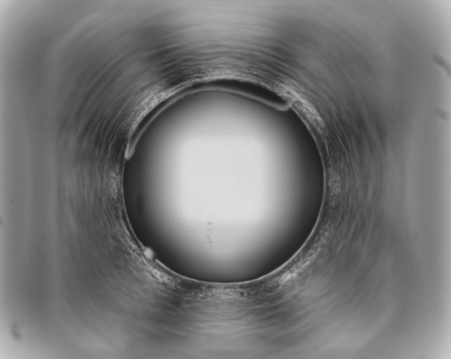 X0000096450993200802071807