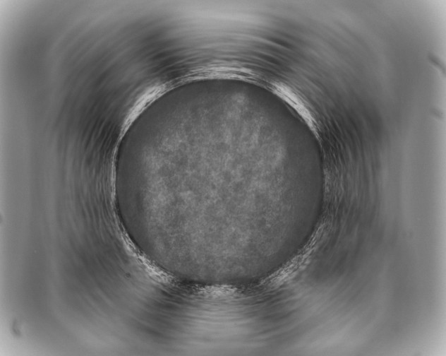 X0000096450994200802071807