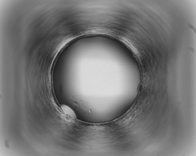 X0000096450996200802071807