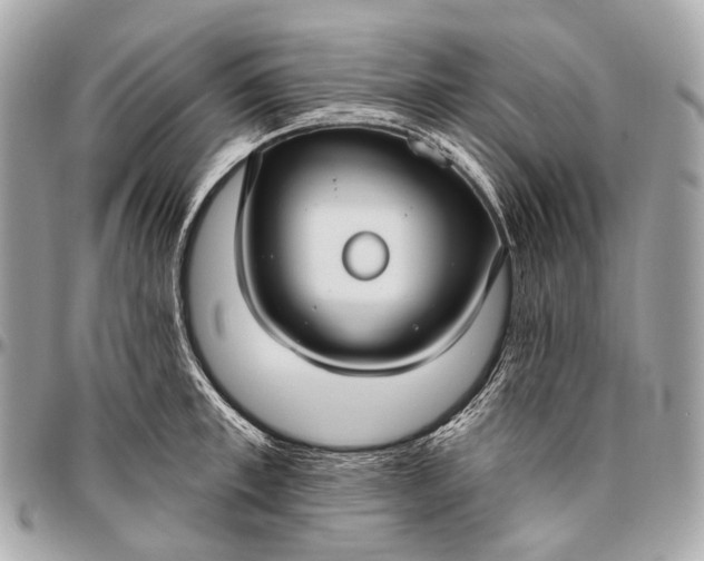 X0000096450997200802071807