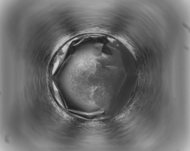 X0000096450998200802071807