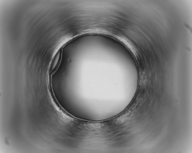 X0000096450999200802071807