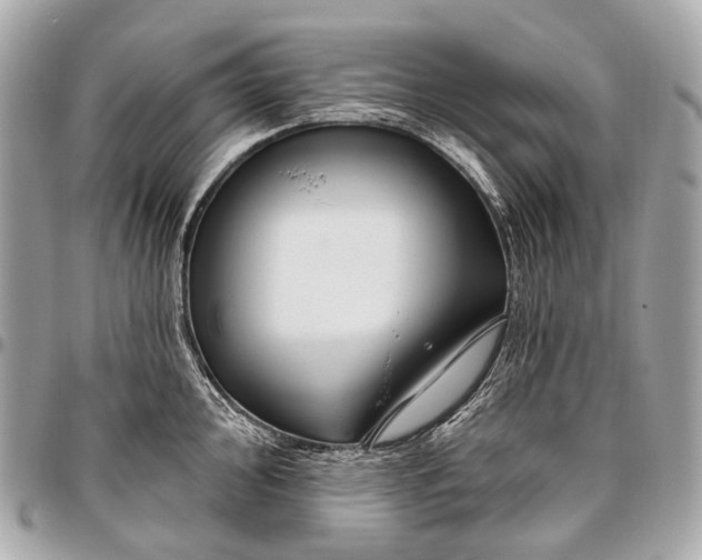 X0000096451000200802071807