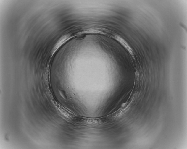 X0000096451002200802071807