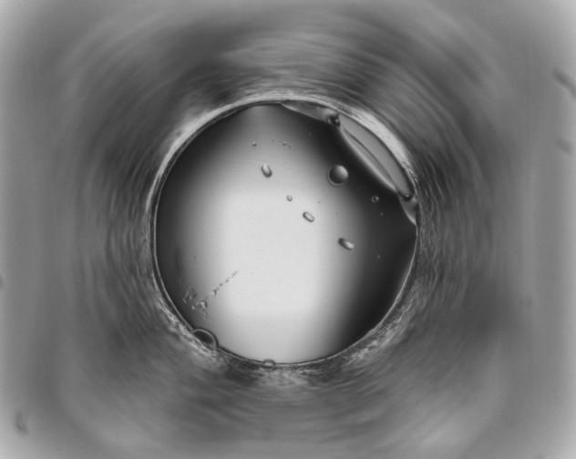 X0000096451004200802071807