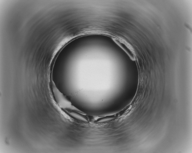 X0000096451005200802071807