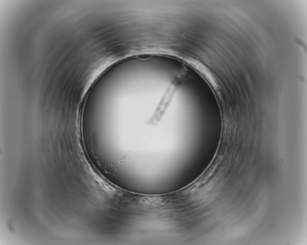 X0000096451006200802071807