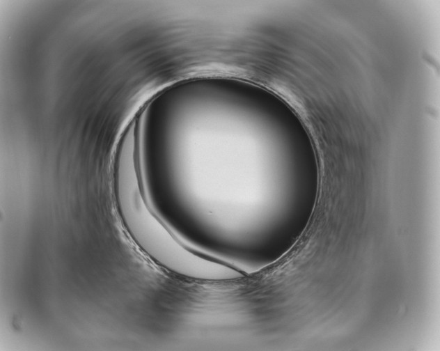 X0000096451008200802071807