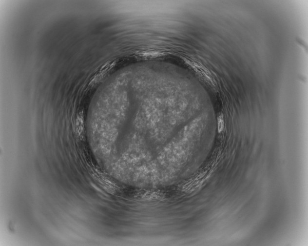 X0000096451011200802071806