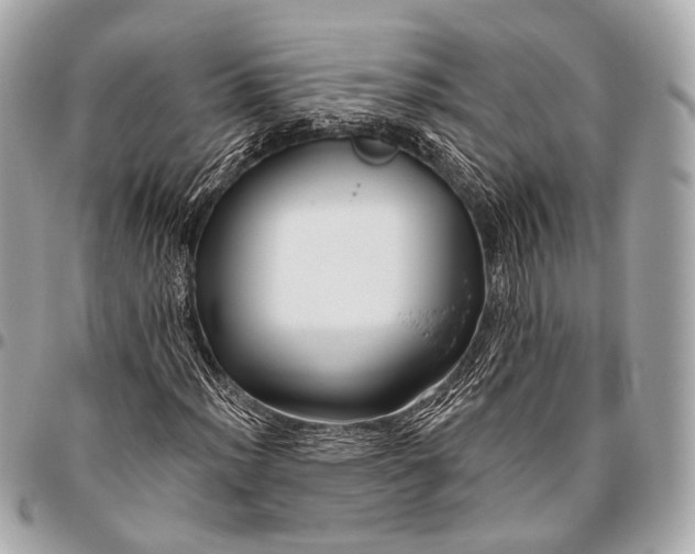 X0000096451012200802071806