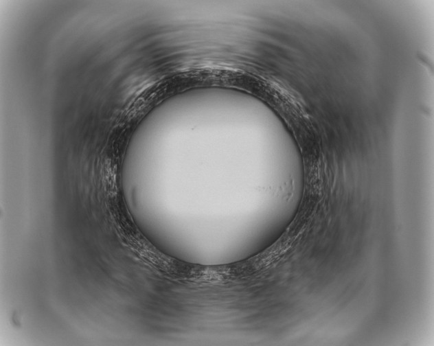 X0000096451013200802071806