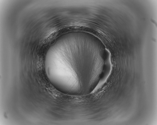 X0000096451014200802071806