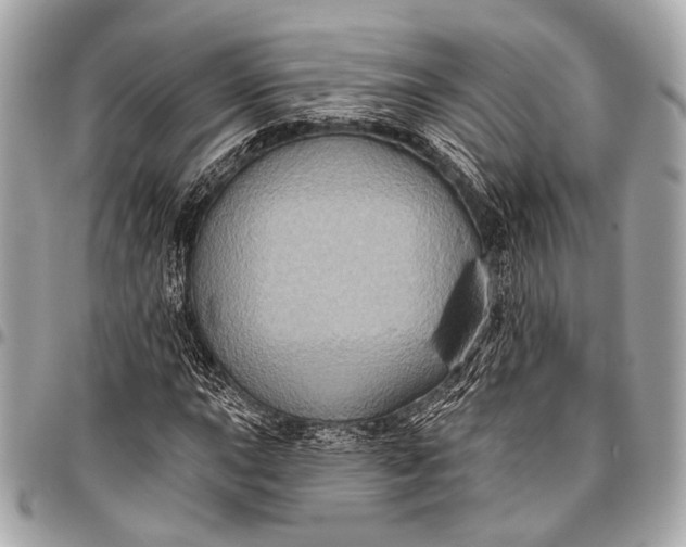 X0000096451015200802071806