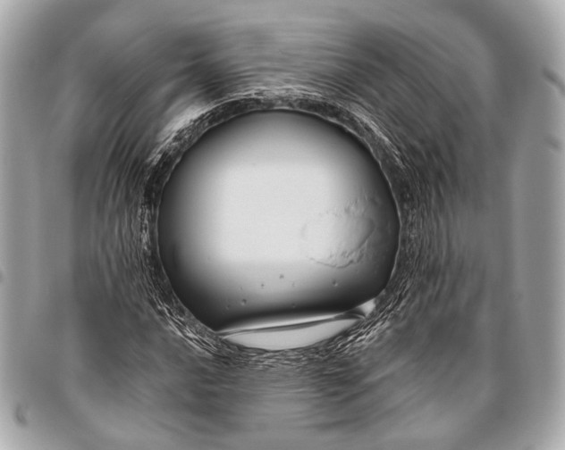 X0000096451016200802071806