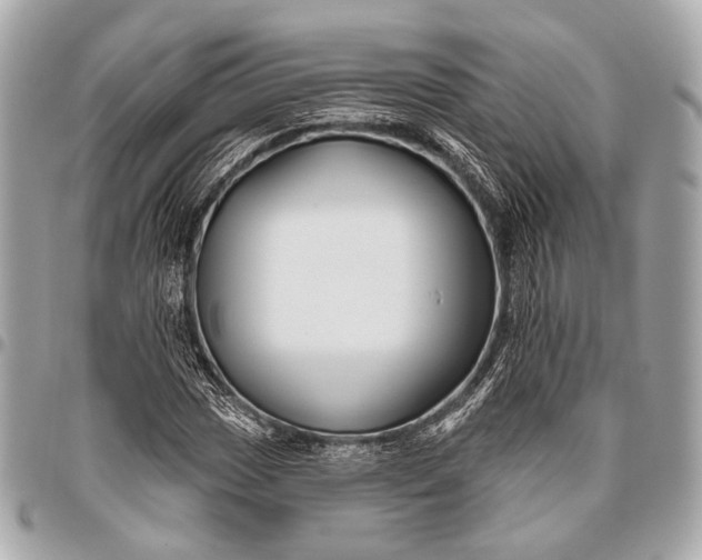 X0000096451017200802071806