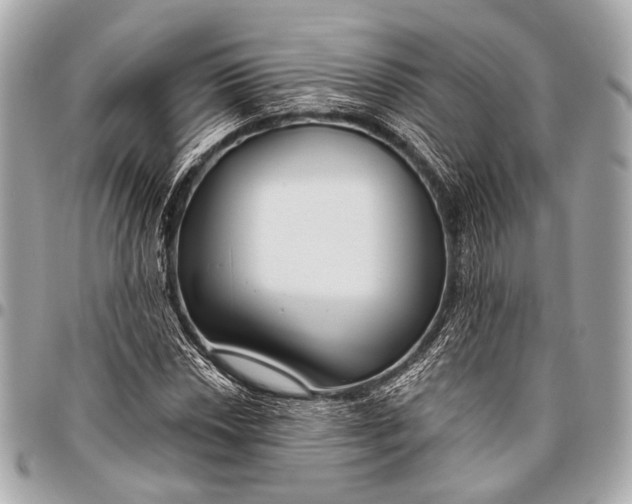 X0000096451018200802071806