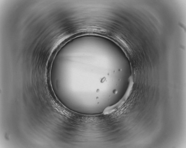 X0000096451020200802071806