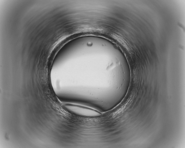 X0000096451021200802071806