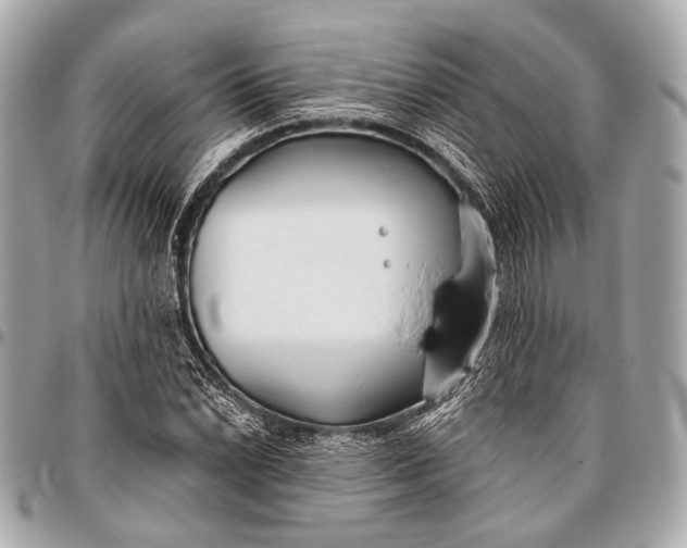 X0000096451022200802071806